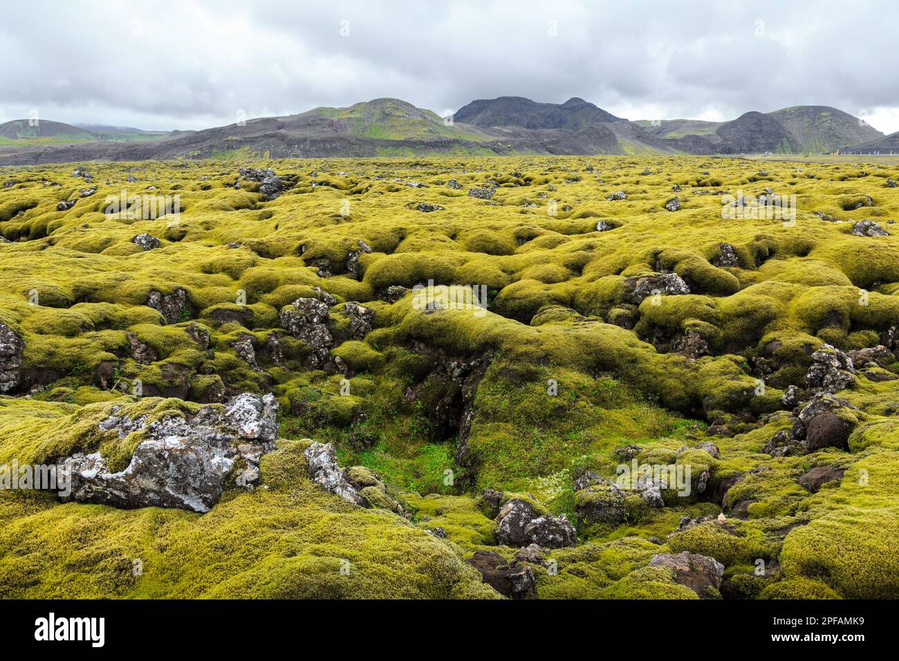 Moss covered landscape. Southern Iceland. Stock Photo