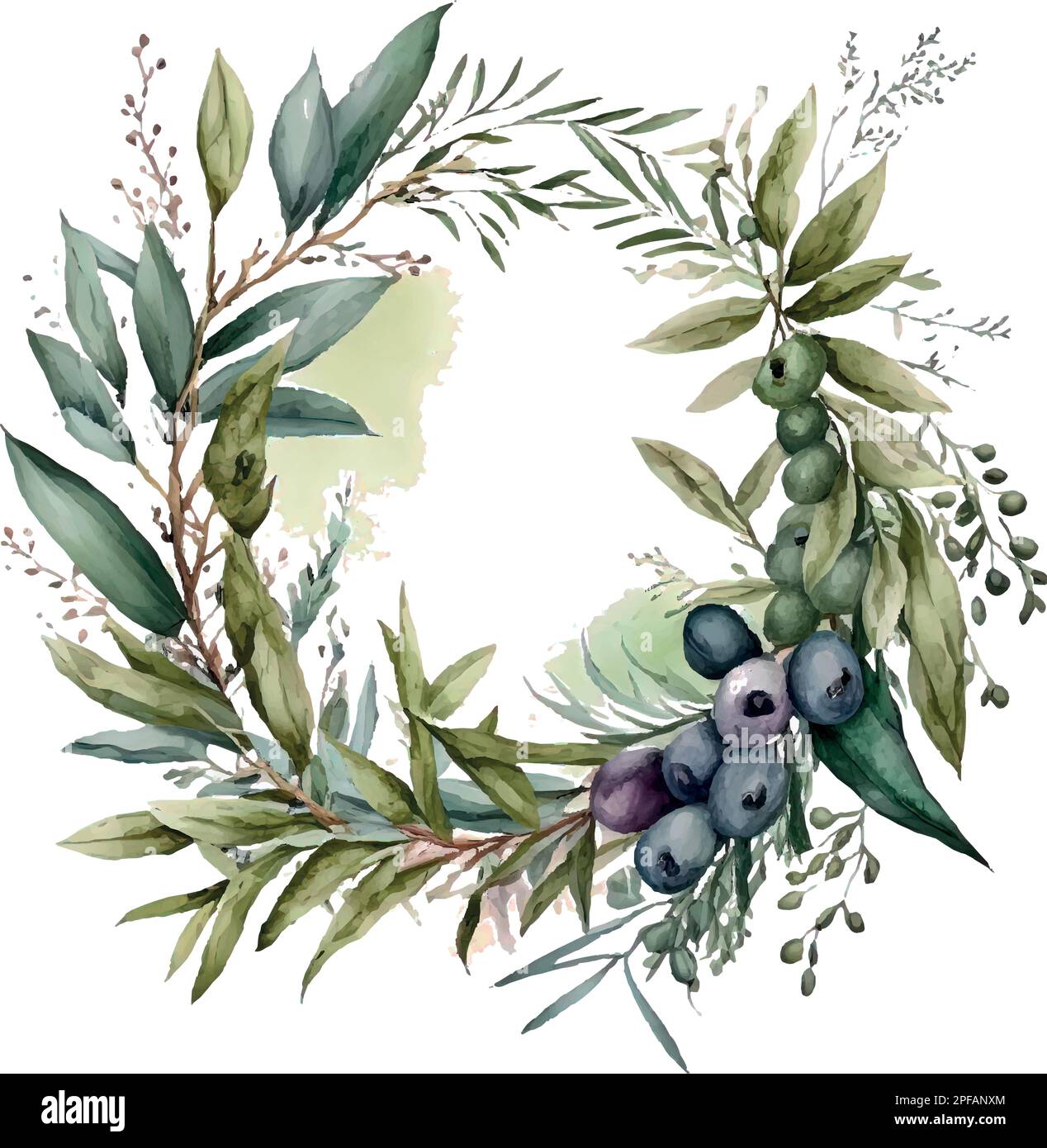 Vector watercolor olive branches and leaves wreath in circle frame ...
