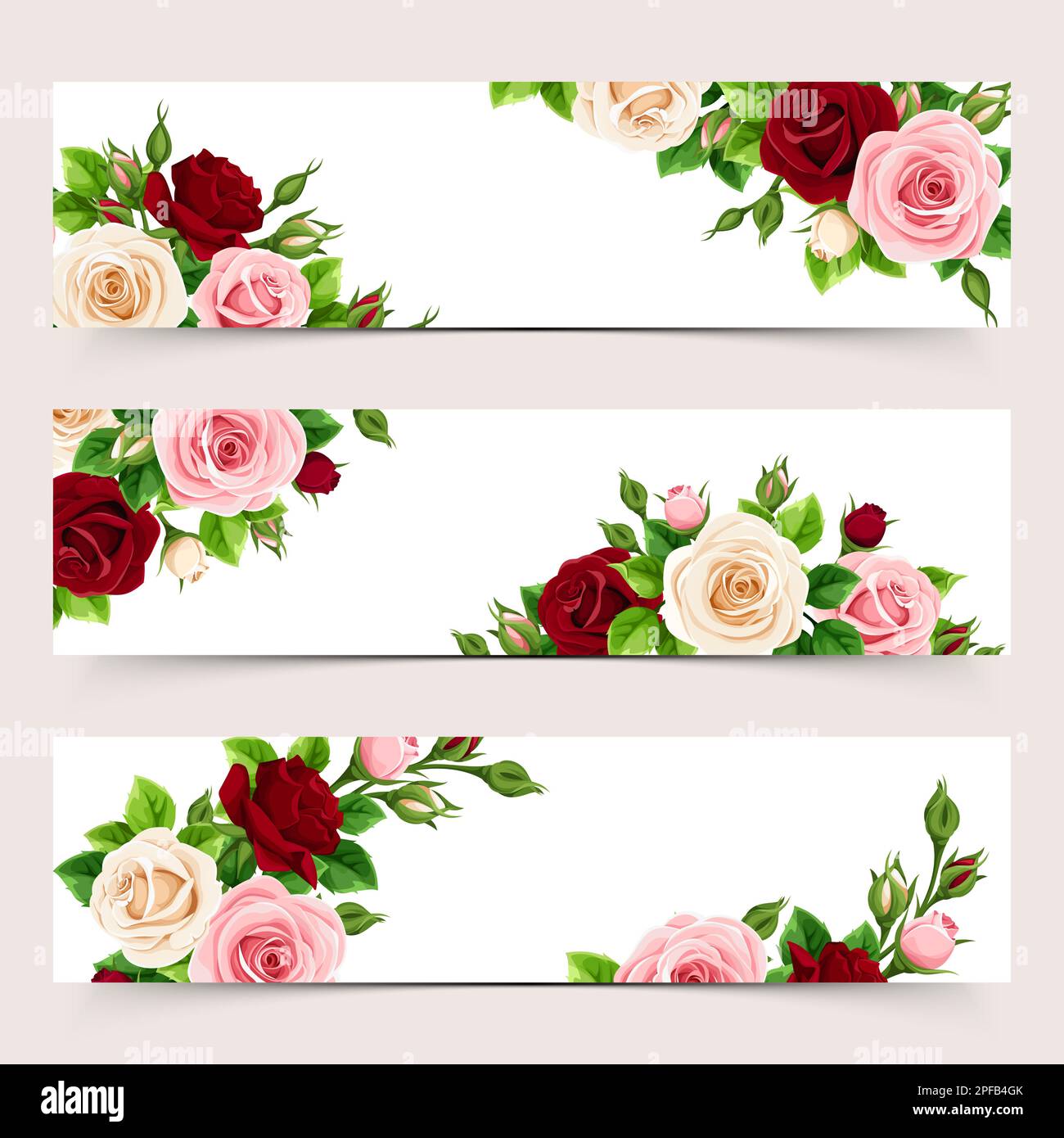 English roses garden Stock Vector Images - Alamy
