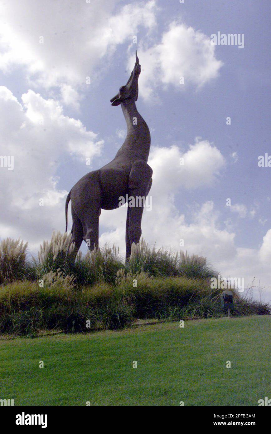 A 67 1/2 foot giraffe marks the entrance to the Dallas Zoo, Tuesday