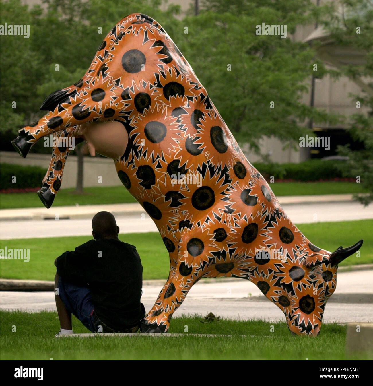 Quincy Reliford waits for his bus under a painted fiberglass cow Friday, June 8, 2001, at Crown