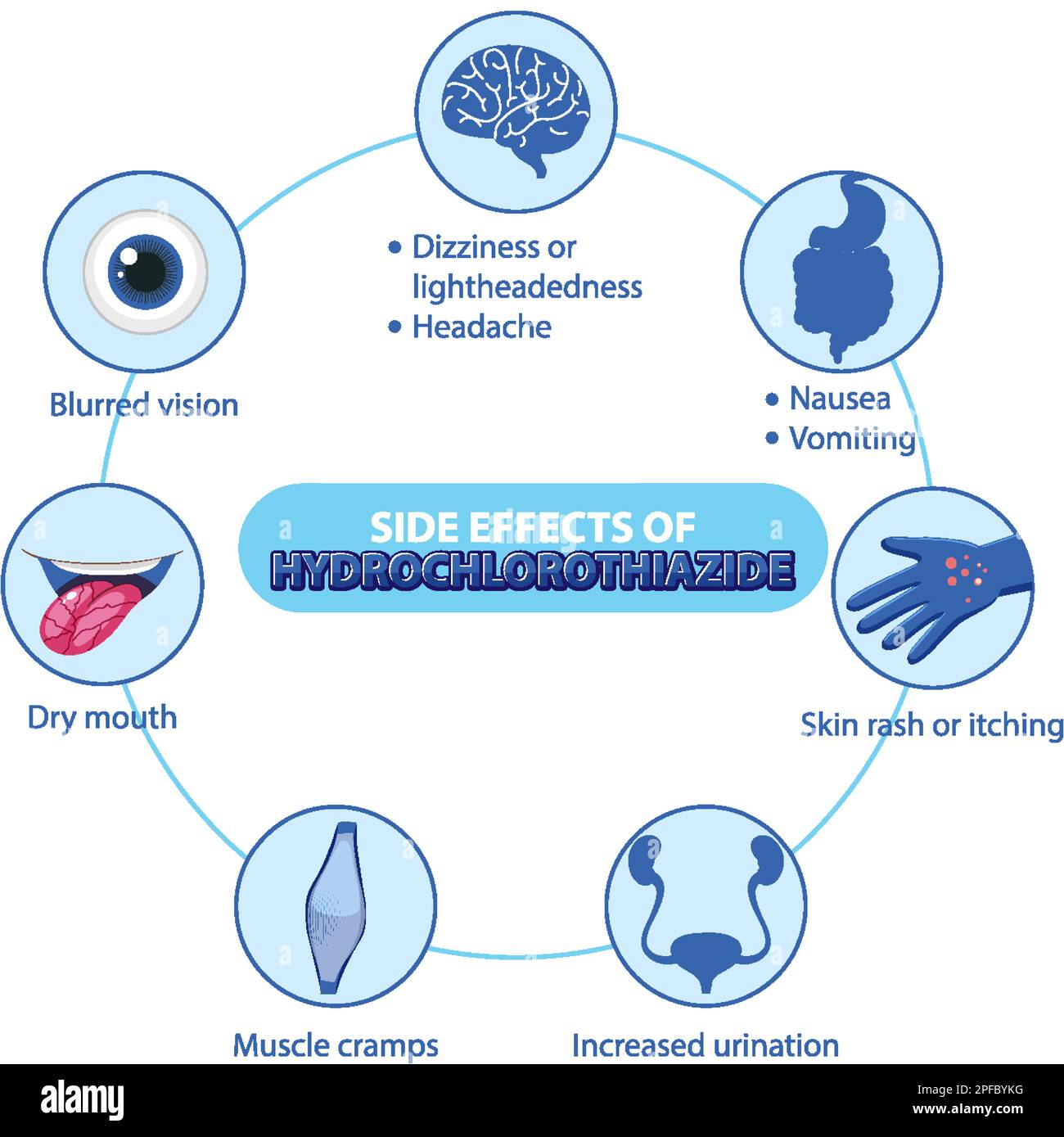 Human anatomy diagram cartoon style of Hydrochlorothiazide side effects