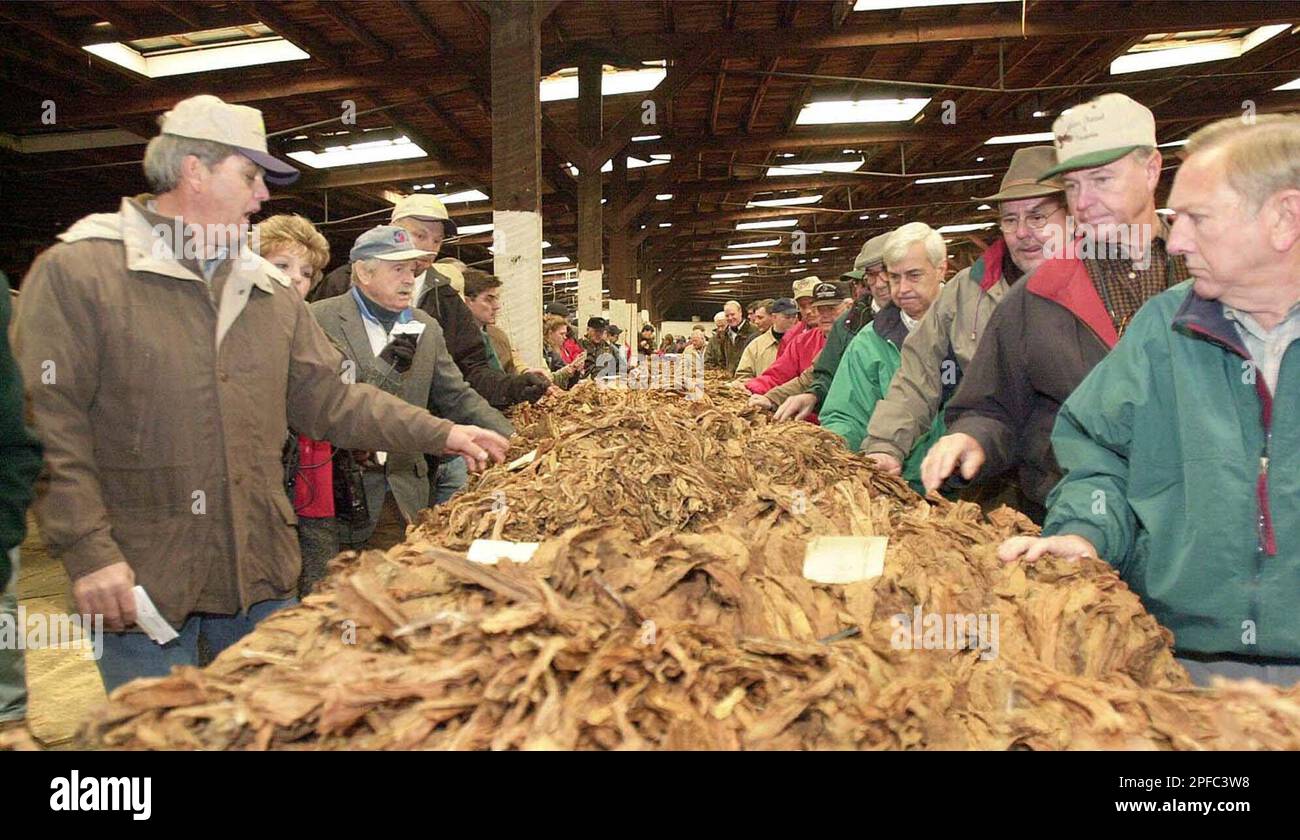 tobacco buyers Buyers inspect tobacco during the opening day sale of the market at the  Banner Warehouse in Maysville, Ky., Monday, Nov. 20, 2000. Prices ranged  from $1.89 to $2.10 per hundred weight. (AP