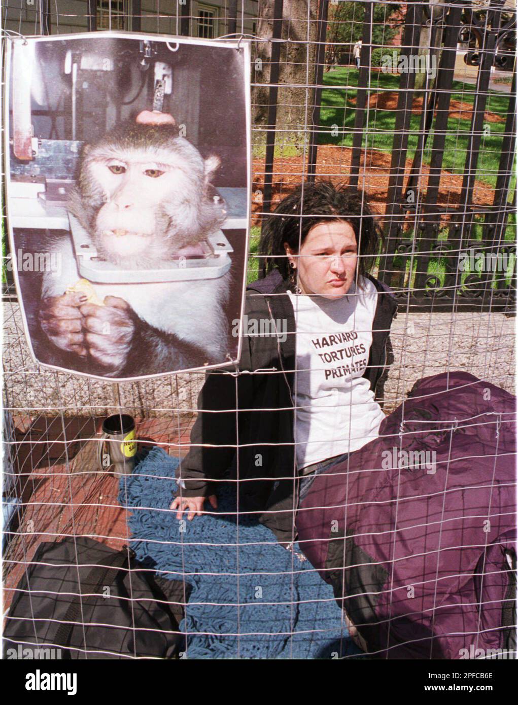 Animal rights activist Alisa Greenman, 19, of Cayucus, Calif., sits in a  makeshift cage with a photo of a lab primate along the sidewalk in Harvard  Square, Tuesday, April 25, 2000 in