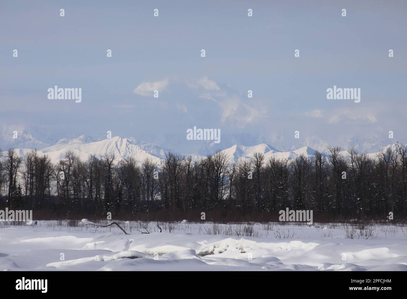 Denali peaks views Stock Photo