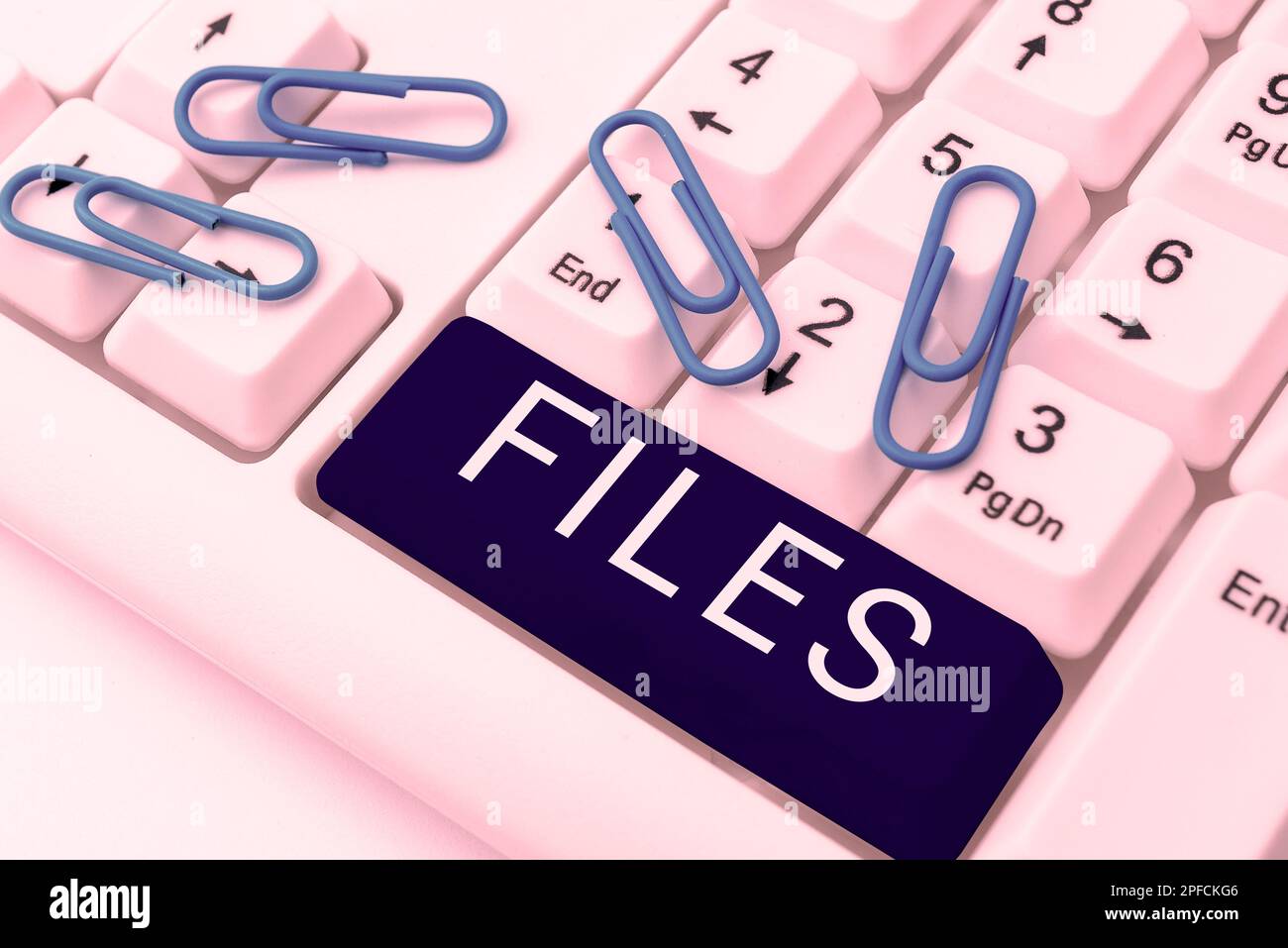 Text caption presenting Files. Concept meaning Folder box for holding