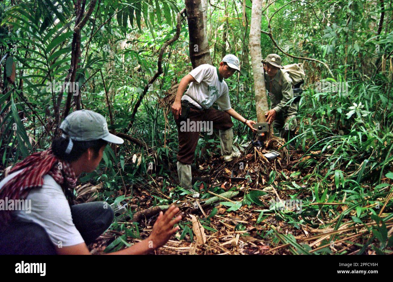 Cambodian Wildlife Protection Officer Keo Omaliss, left, checks the  infrared trigger of a camera trap while it is positioned by fellow rangers  Men Soriyun, center, and Tep Borin, May 26, 1999, in