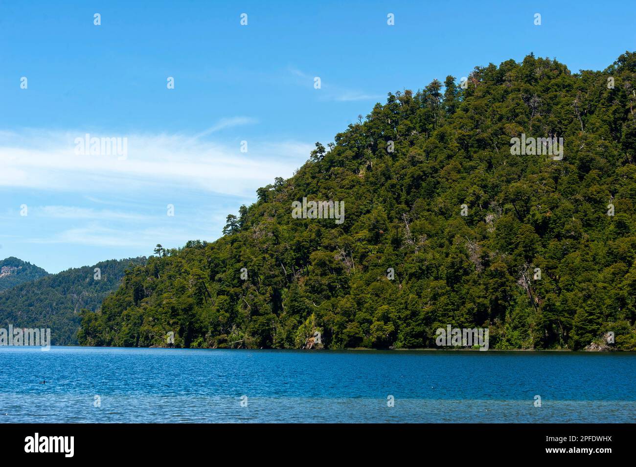 Correntoso Lake as seen from Camping 7 Lagos, Ruta de Los Siete Lagos ...