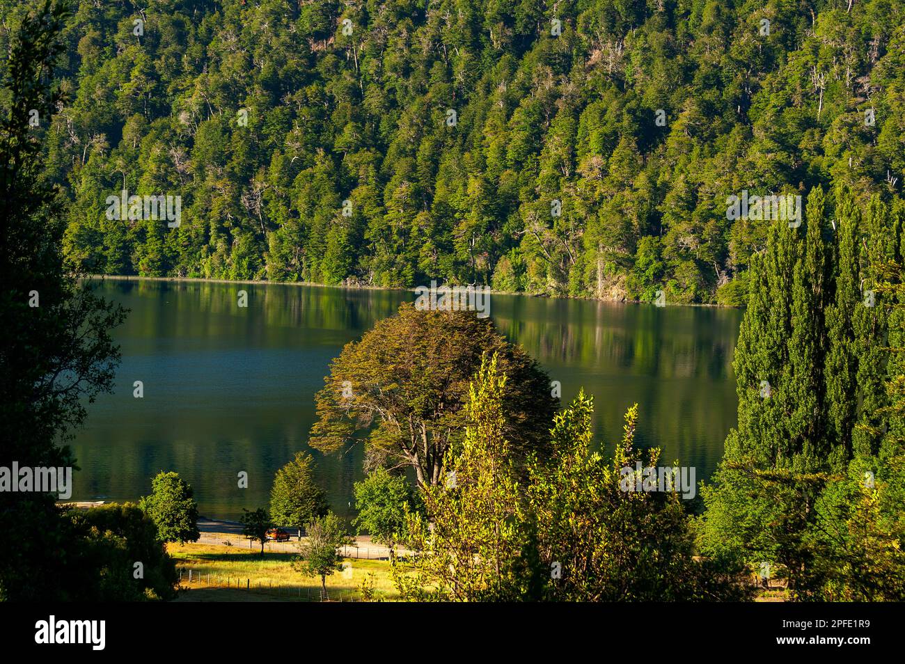 Correntoso Lake as seen from Camping 7 Lagos, Ruta de Los Siete Lagos, Route of Seven Lakes Correntoso Lake as seen from Camping 7 Lagos, Ruta de Los Siete Lagos, Route of Seven Lakes