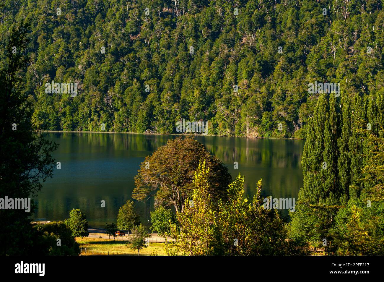 Correntoso Lake as seen from Camping 7 Lagos, Ruta de Los Siete Lagos ...