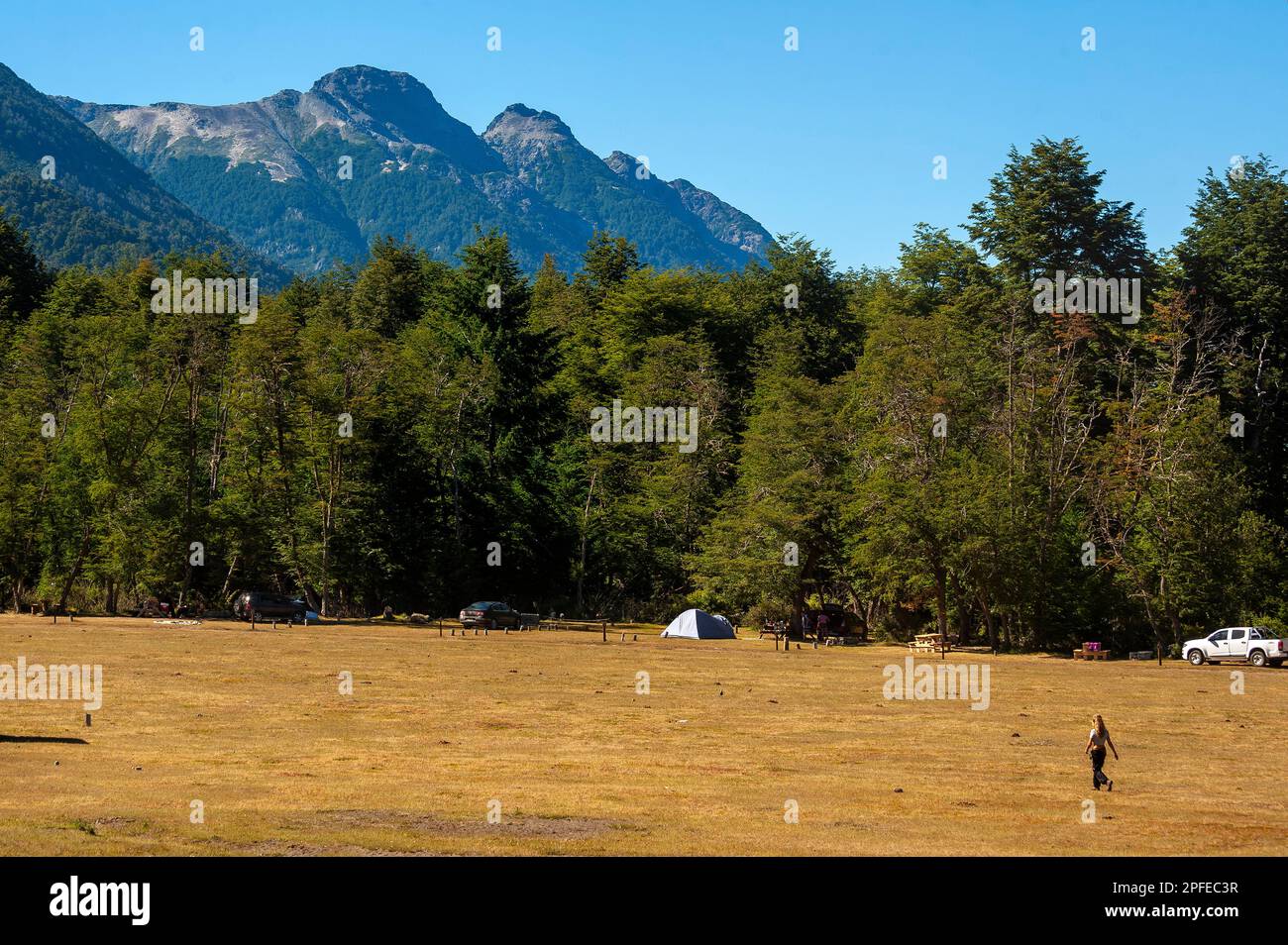 7 Lakes Camping on the shores of Correntoso Lake, Seven Lake Road, Ruta ...