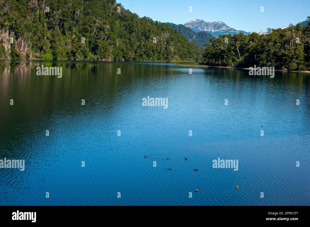 Correntoso Lake as seen from Camping 7 Lagos, Ruta de Los Siete Lagos ...