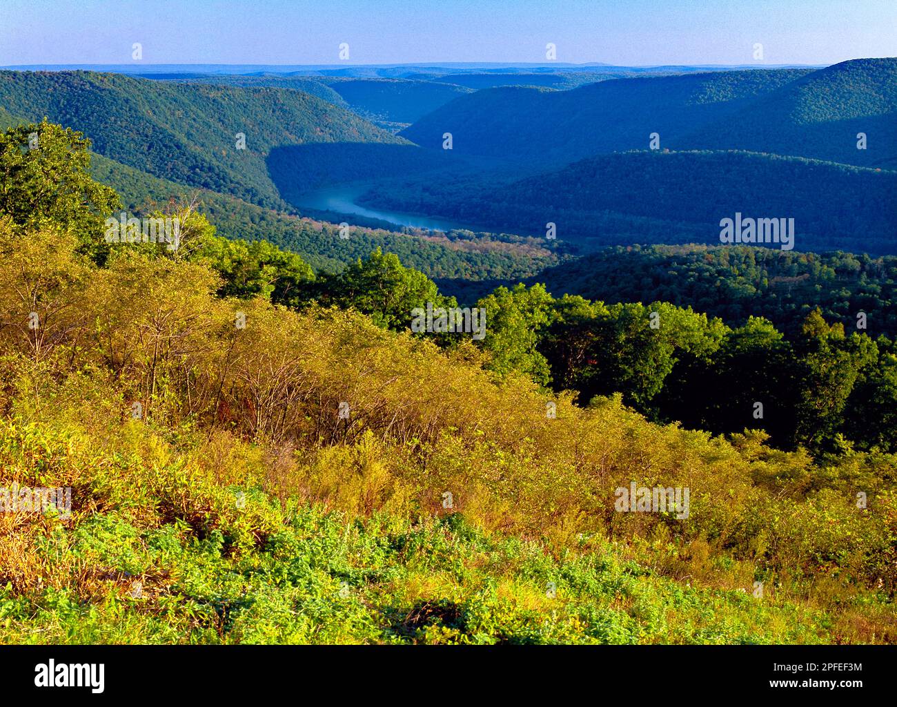The view from Hyner View State Park of the West Branch Wilderness in Clinton County, Pennsylvania Stock Photo