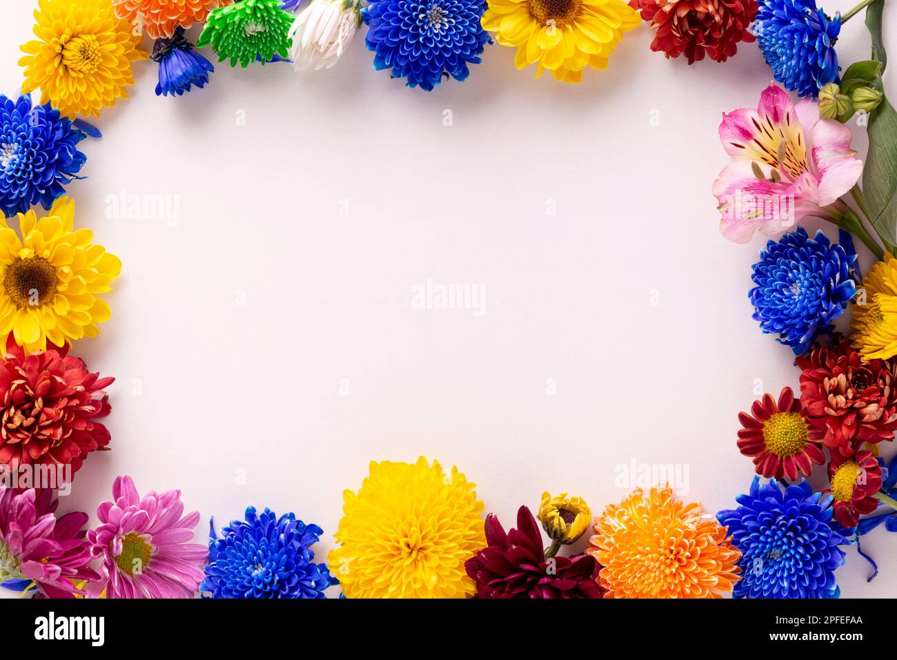 Colorful spring flowers frame border background. Spring background