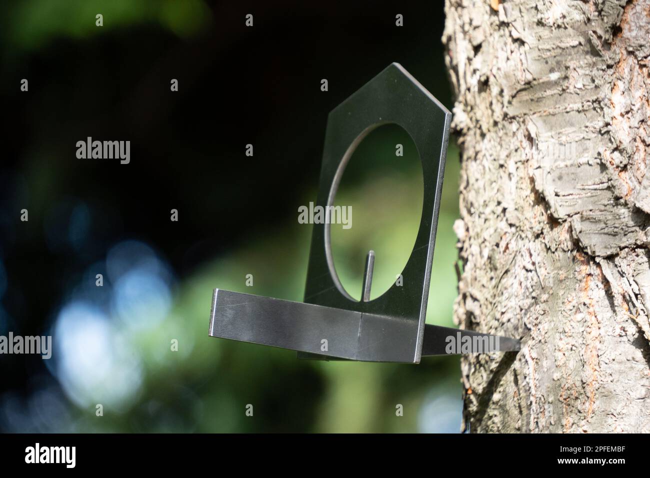 Metal bird feeder in tree trunk, empty. Bird feeders are popular with gardeners to encourage