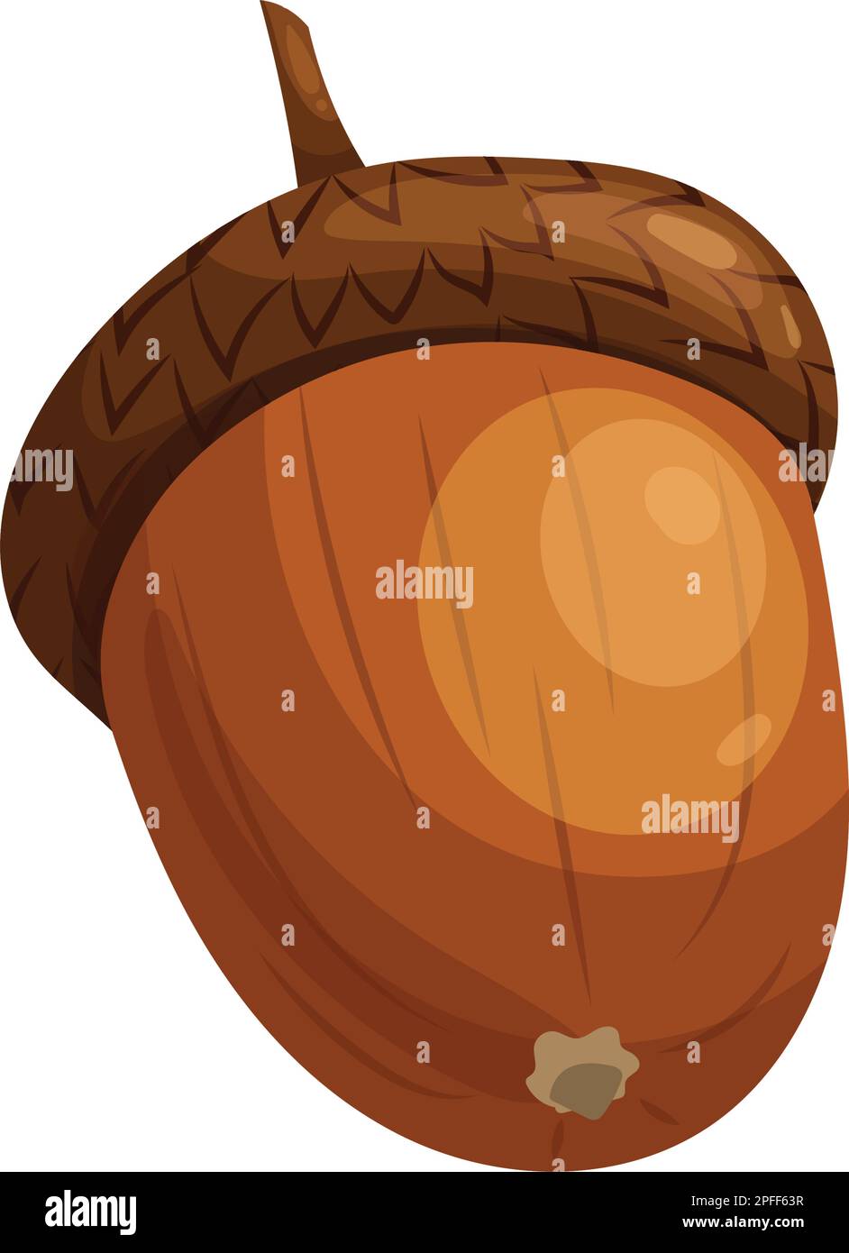 acorn brown seed cartoon vector illustration Stock Vector Image & Art ...