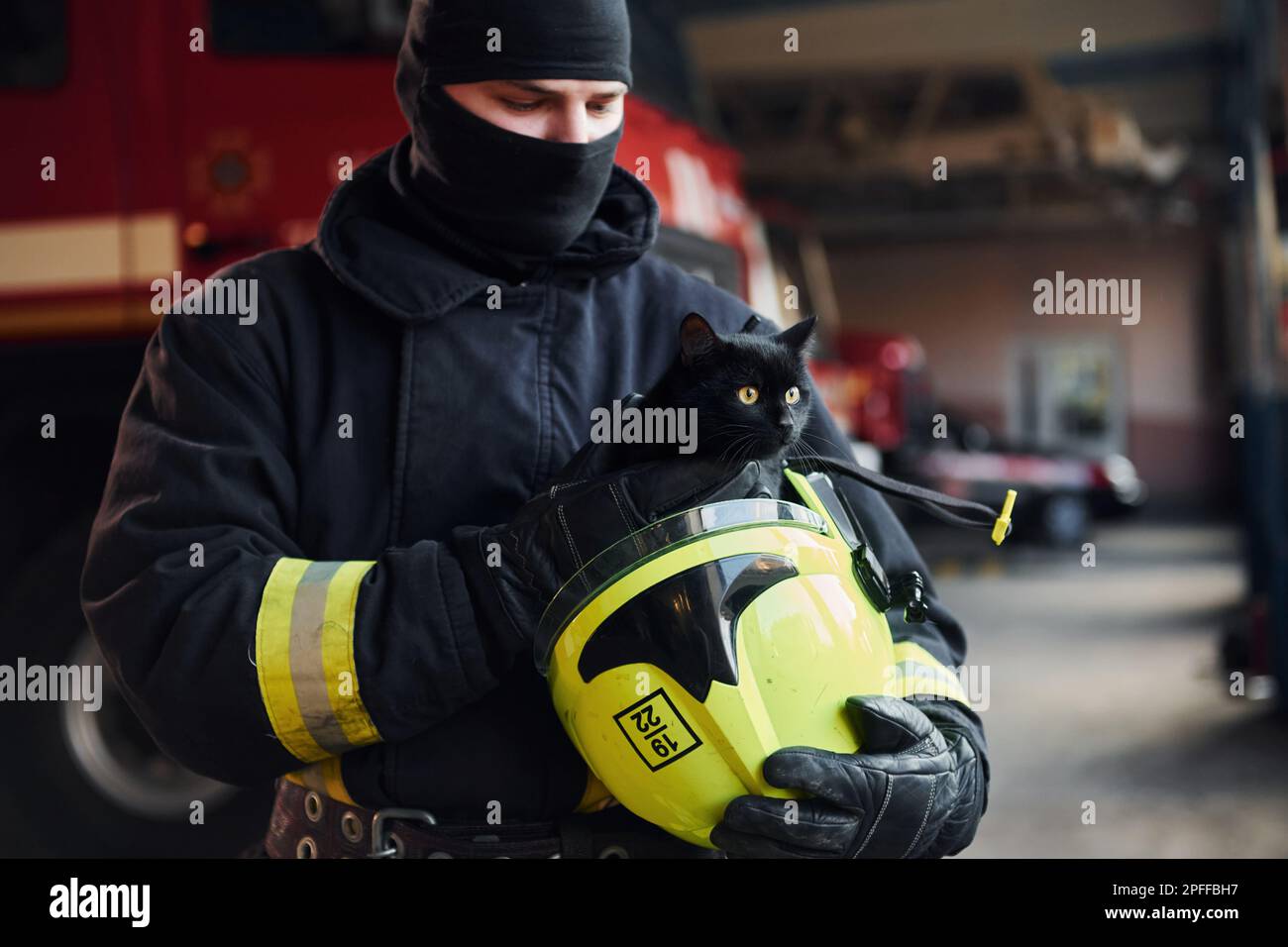 Fire station cat hi-res stock photography and images - Alamy