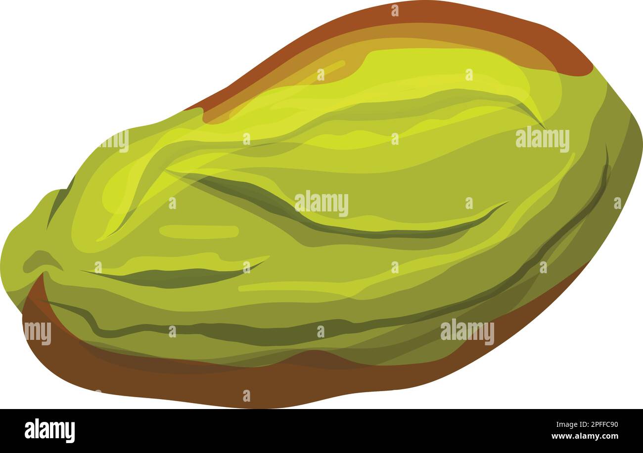 pistachio organic food cartoon vector illustration Stock Vector