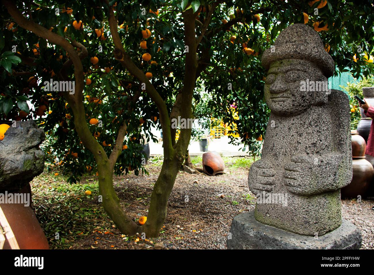 Dol hareubangs figure or tol harubangs statue at plantation of