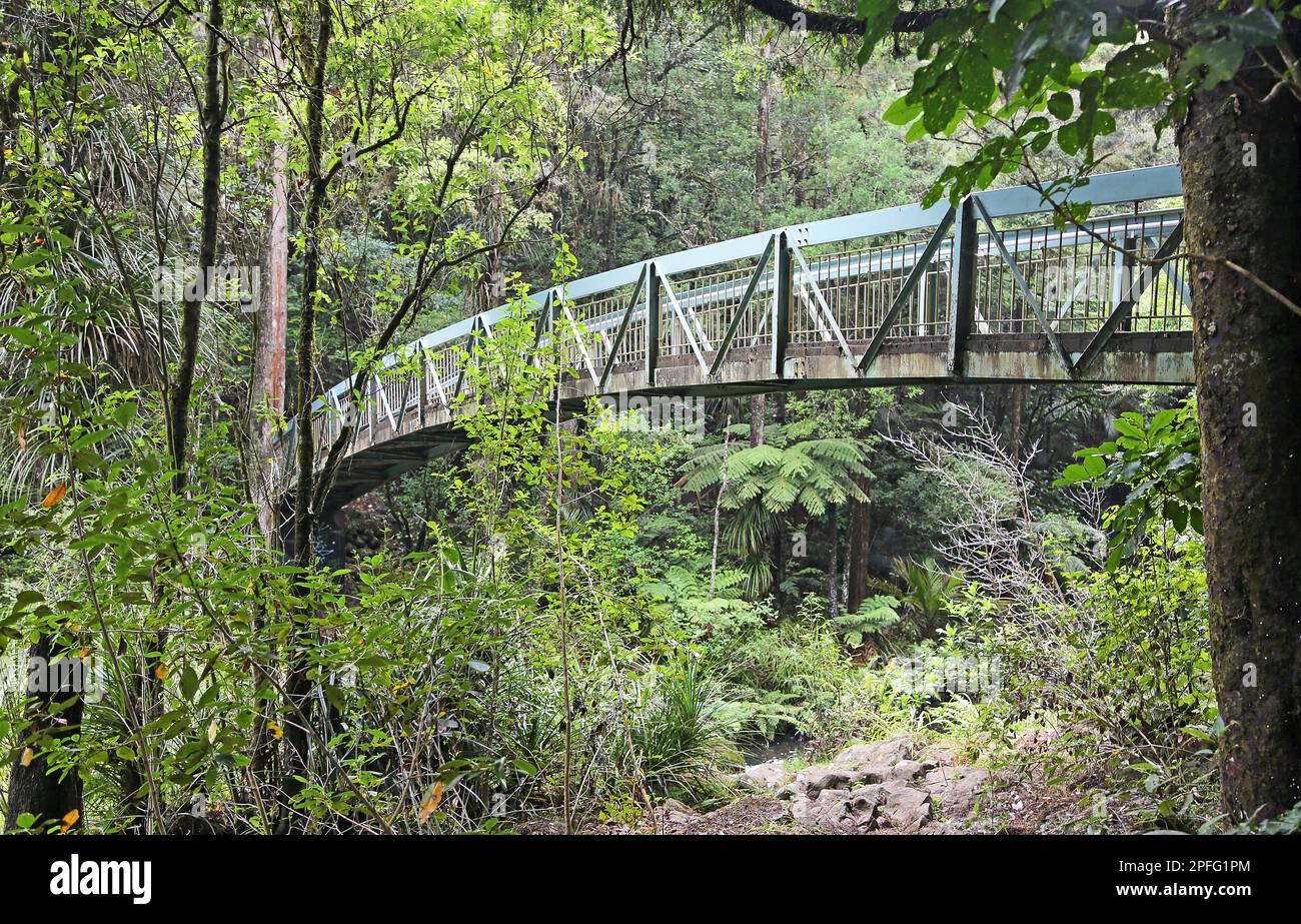 Romantic bridge over Hatea River, New Zealand Stock Photo