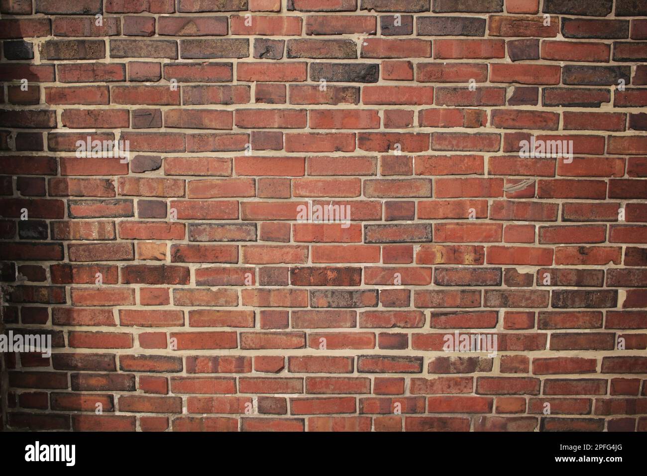 Typical common brick wall with lots of bricks and layers Stock Photo