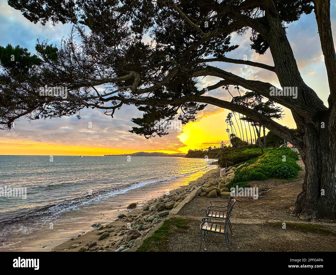 Santa Barbara, California, USA. 16th Mar, 2023. Two chairs look out at the golden sunset break through the heavy clouds, in front of a Cypress tree, on Butterfly Beach, Montecito CA. (Credit Image: © Amy Katz/ZUMA Press Wire) EDITORIAL USAGE ONLY! Not for Commercial USAGE! Stock Photo
