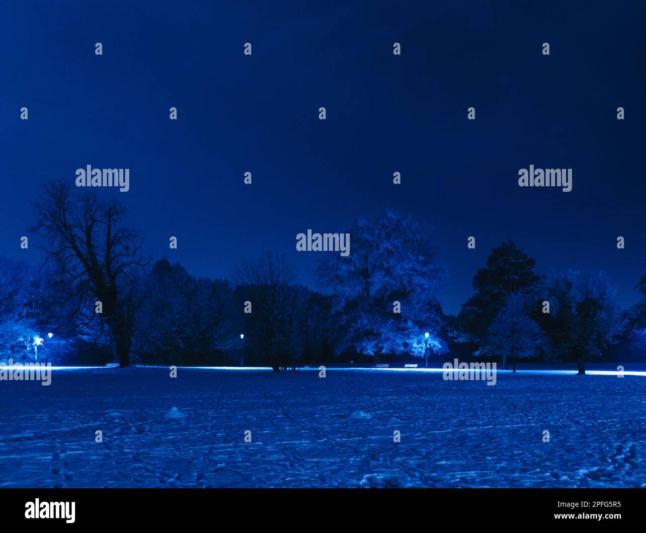 As night falls, a wintery forest is illuminated by the fading sky. Snow traces the silhouetted trees as blue dusk sets in and reveals an empty park Stock Photo