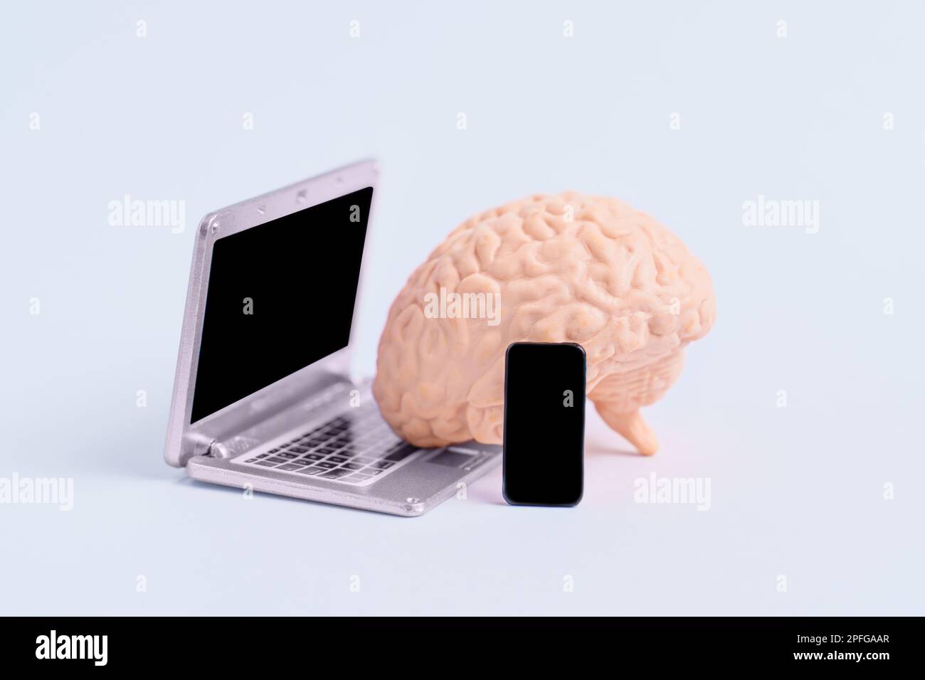 Detailed human brain model using a miniature laptop and smartphone ...