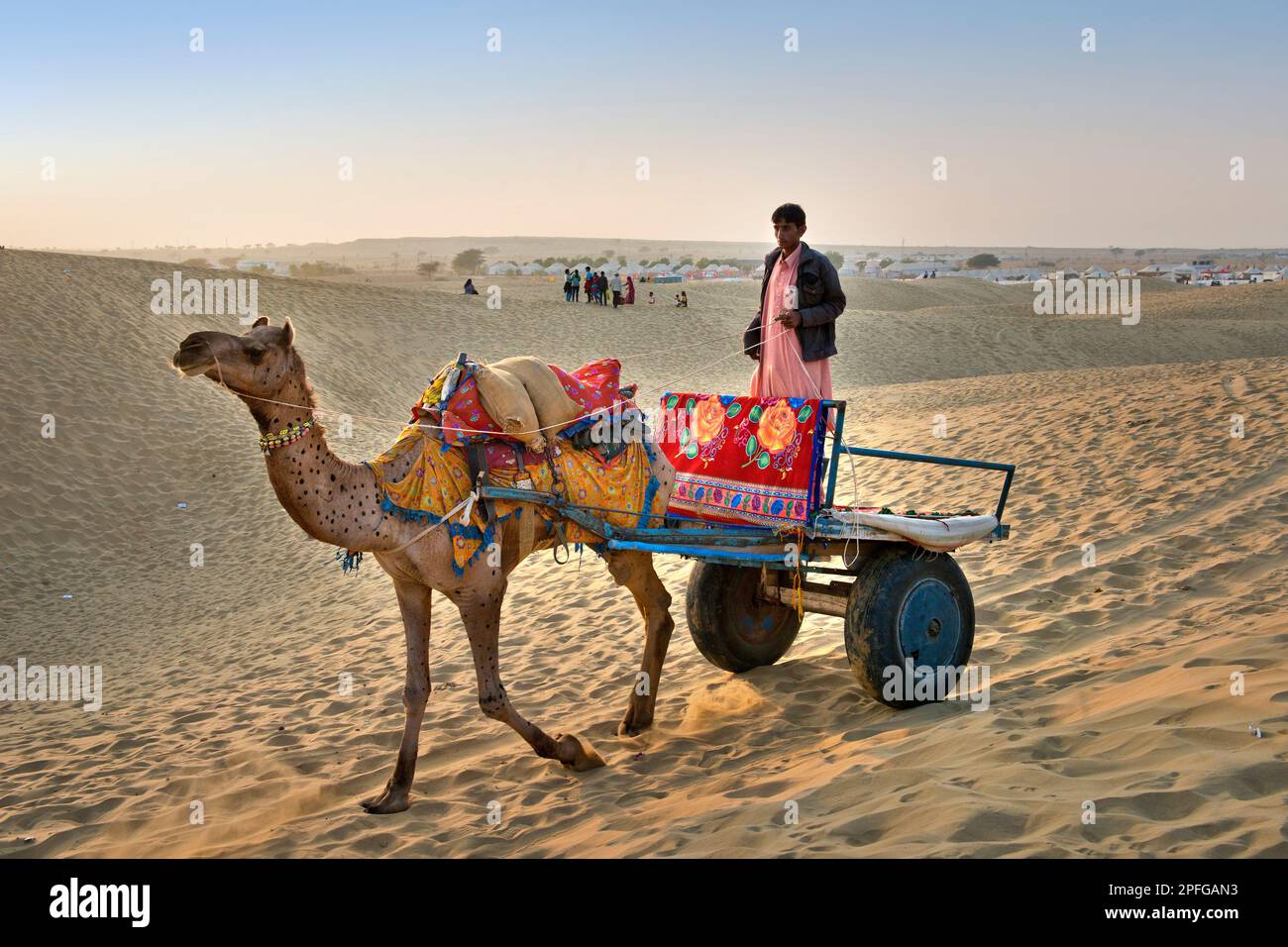 India, Rajasthan, Jaisalmer, camel ride desert Stock Photo - Alamy