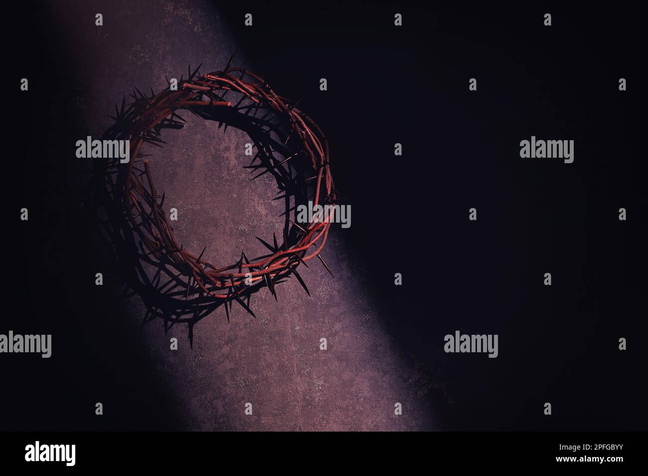 Closeup Crown of thorns in Old Wall Stock Photo