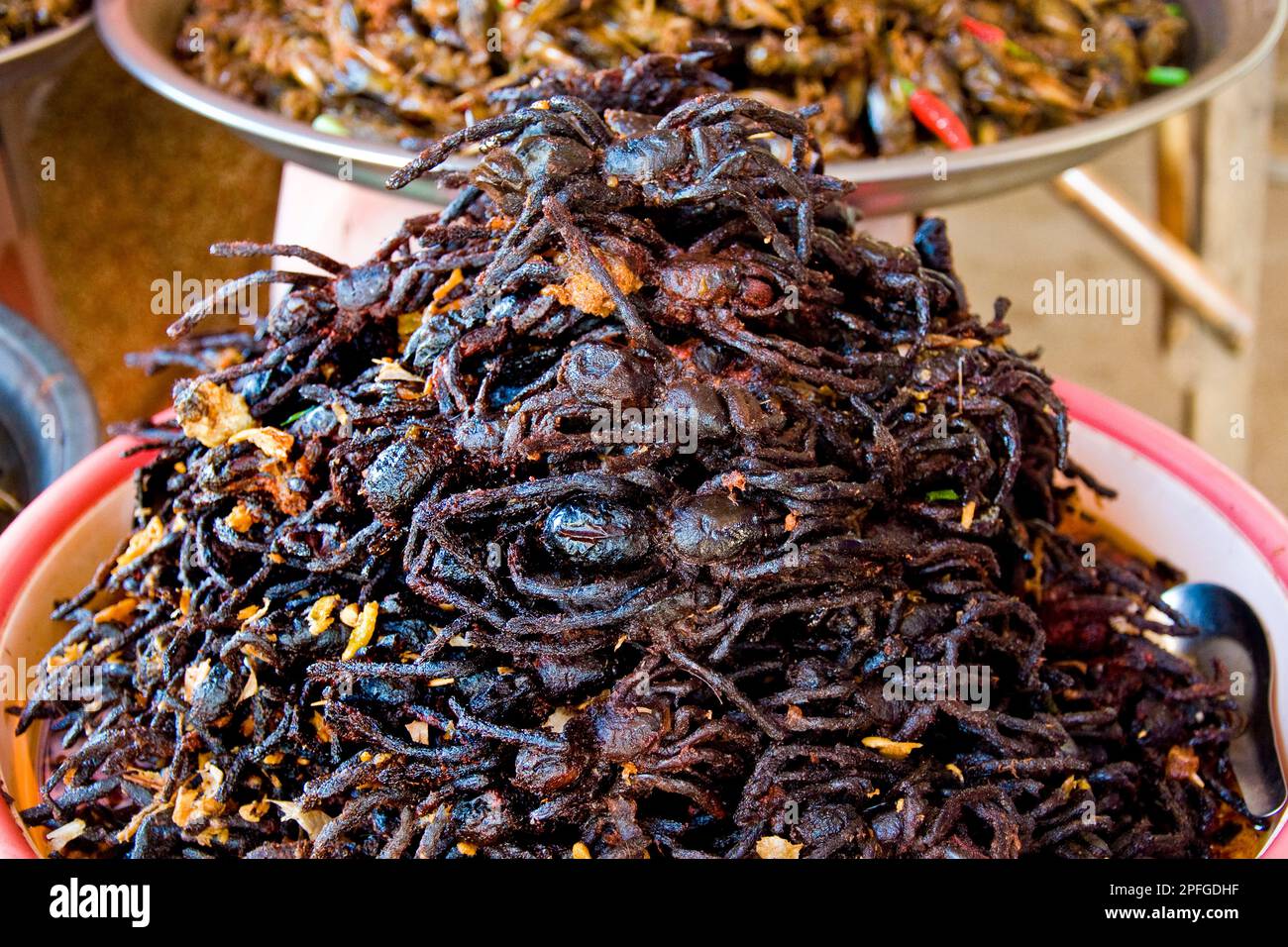 Fried spiders, Skun market, Surrounding of Siem Reap, Cambodia Stock ...