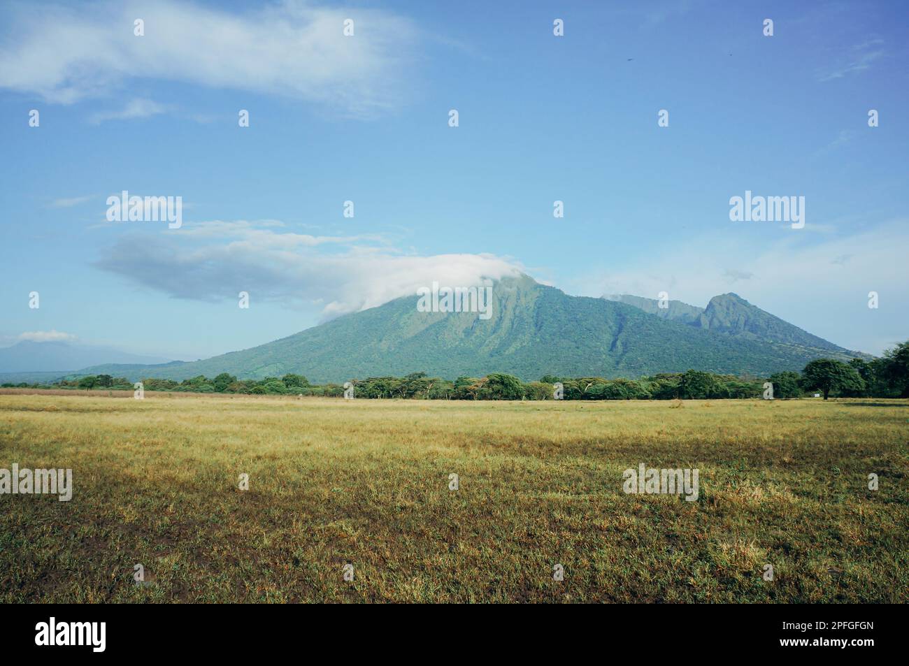 Panoramic view in the middle of Bekol savanna, Baluran National Park, Situbondo, Indonesia Stock Photo