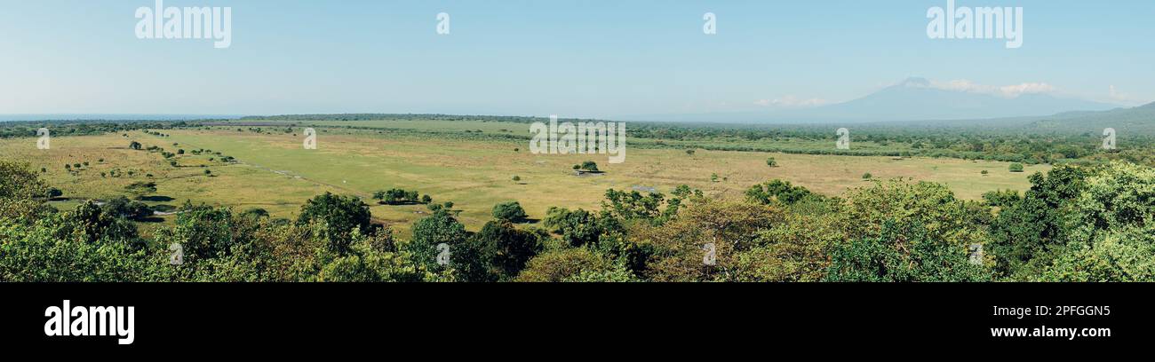 panoramic image of Bekol savanna surrounded by tropical green forest of Baluran National Park, Situbondo, Indonesia Stock Photo