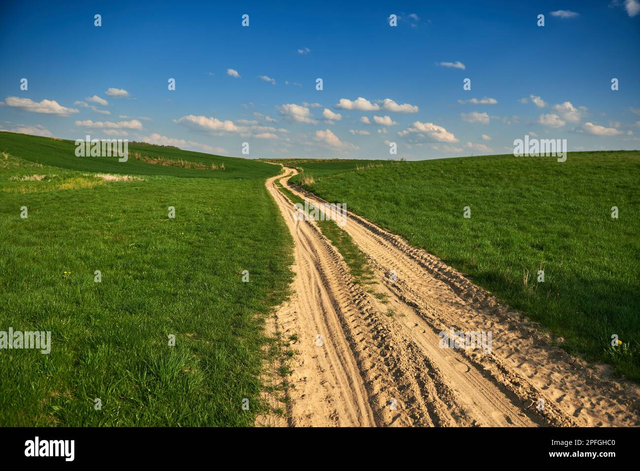 A field road among rolling green fields Stock Photo Alamy
