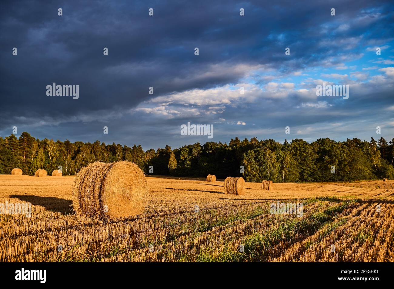 Straw bales in the stubble field in the sun Stock Photo - Alamy