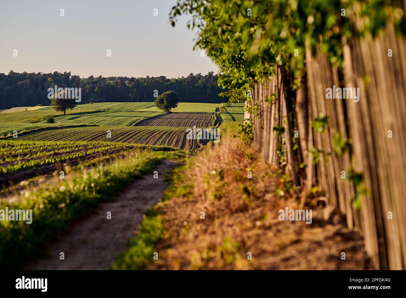 dirt road by a wooden fence Stock Photo - Alamy