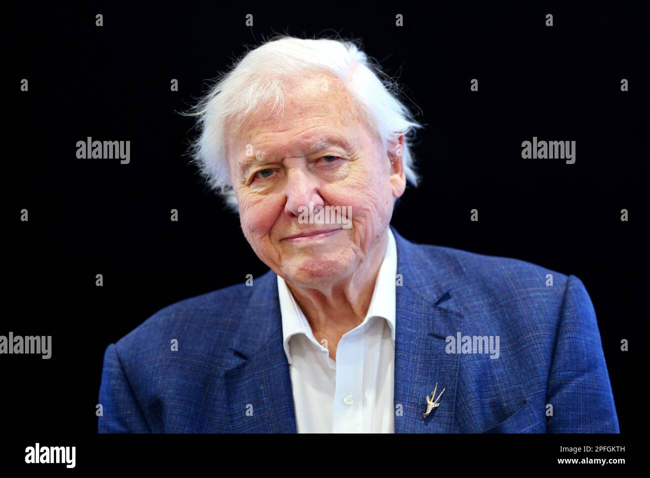 File photo dated 12/10/22 of Sir David Attenborough. Climate activist Emma Smart was arrested after she repeatedly tried to get in to an upmarket seaside restaurant to speak to Sir David Attenborough, a district judge has heard. Poole Magistrates Court was shown body-worn police camera footage of how Emma Smart, 45, refused to leave the shop under the Catch at The Old Fishmarket restaurant in Weymouth, Dorset, in November last year. On Friday, Smart went on trial accused of failing to comply with a Section 35 dispersal order, which she denies. Issue date: Friday March 17, 2023. Stock Photo