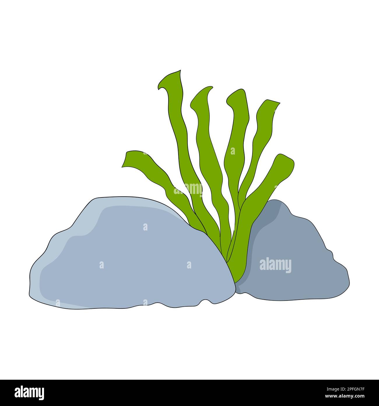 plants growing among the rocks Stock Vector Image & Art - Alamy