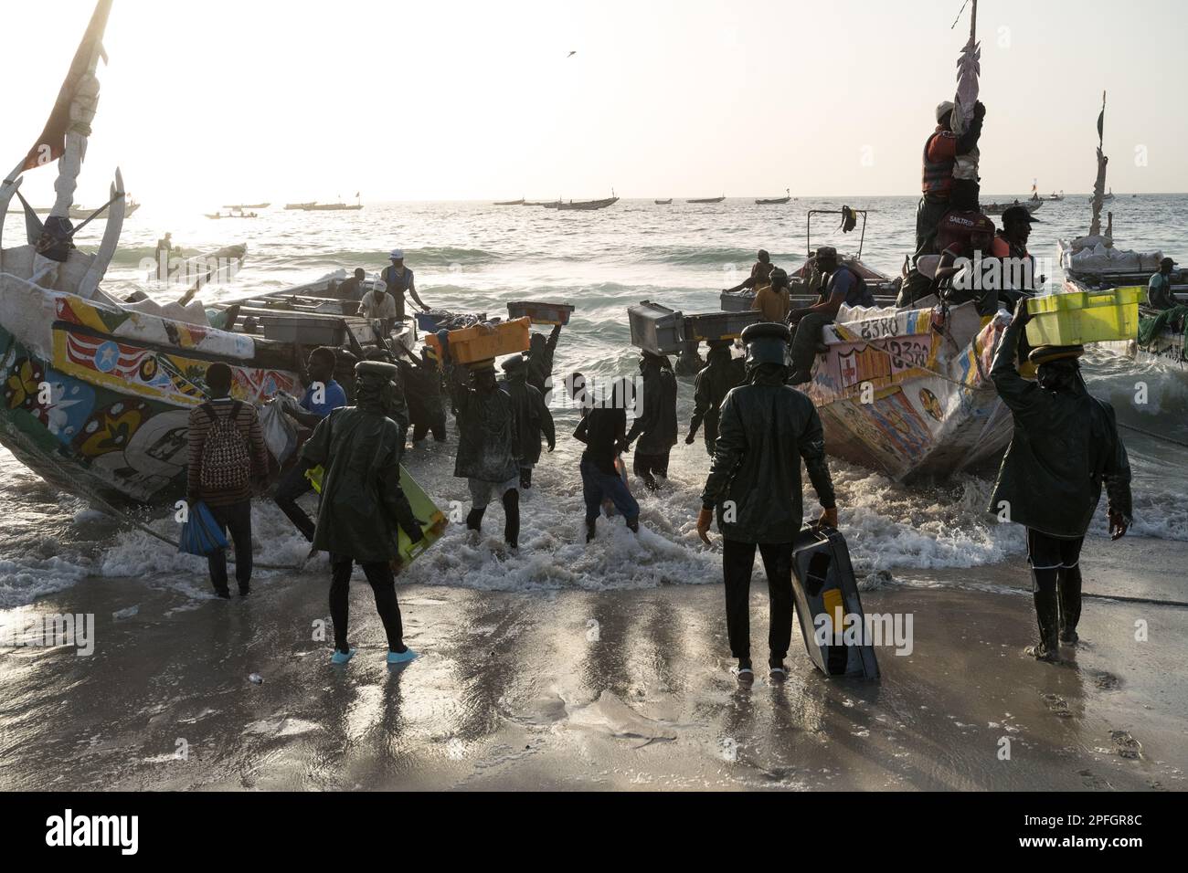 African fishermen unloading the day's catch of fish. Port de Peche, Nouakchott's famous fish market, plage des pecheurs. Mauritania. Stock Photo