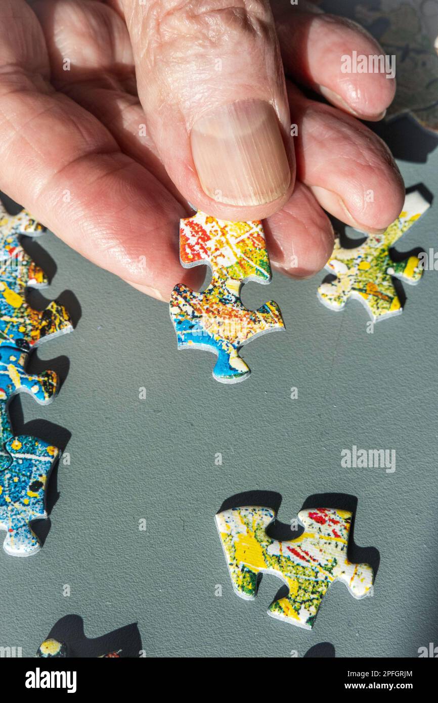 Jigsaw puzzle being assembled, 2023, USA Stock Photo Alamy
