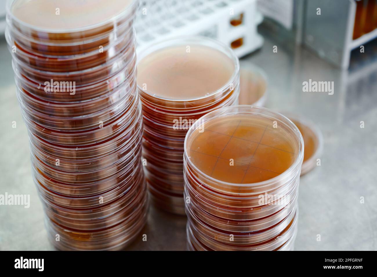 Petri dishes among glassware in special bio laboratory Stock Photo Alamy