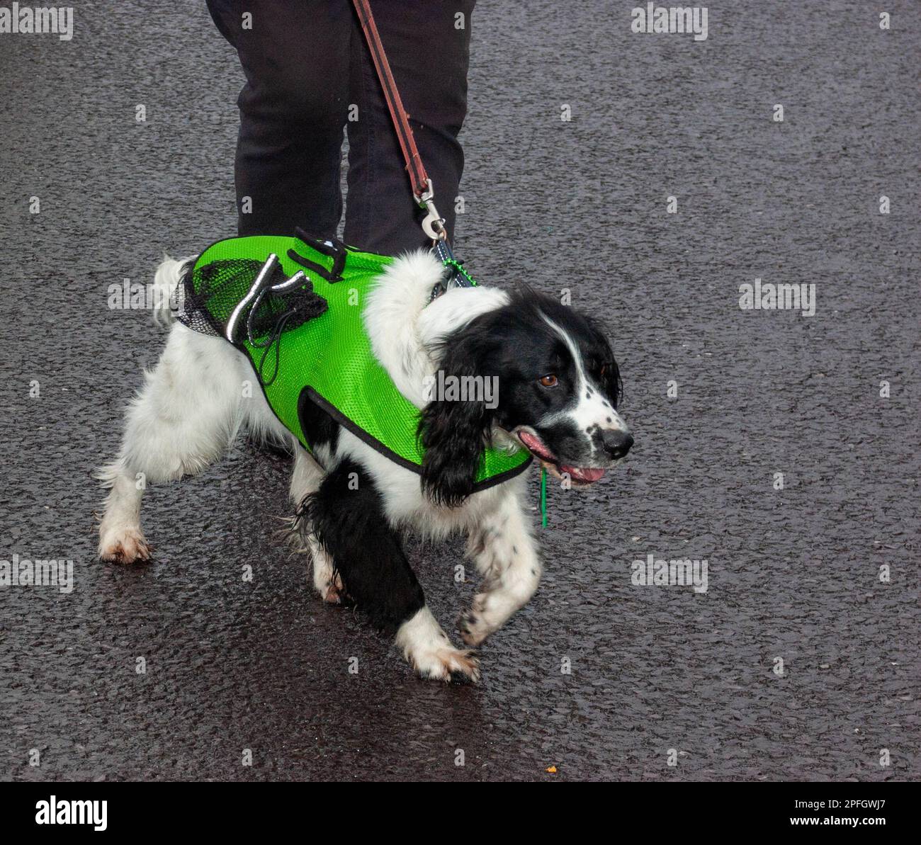 ballingeary st patricks day parade 2025