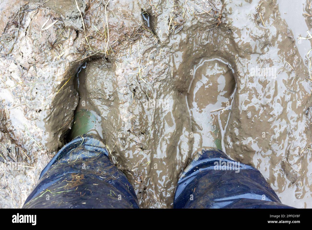 Farmers wellies in mud. North Yorkshire, UK. Stock Photo