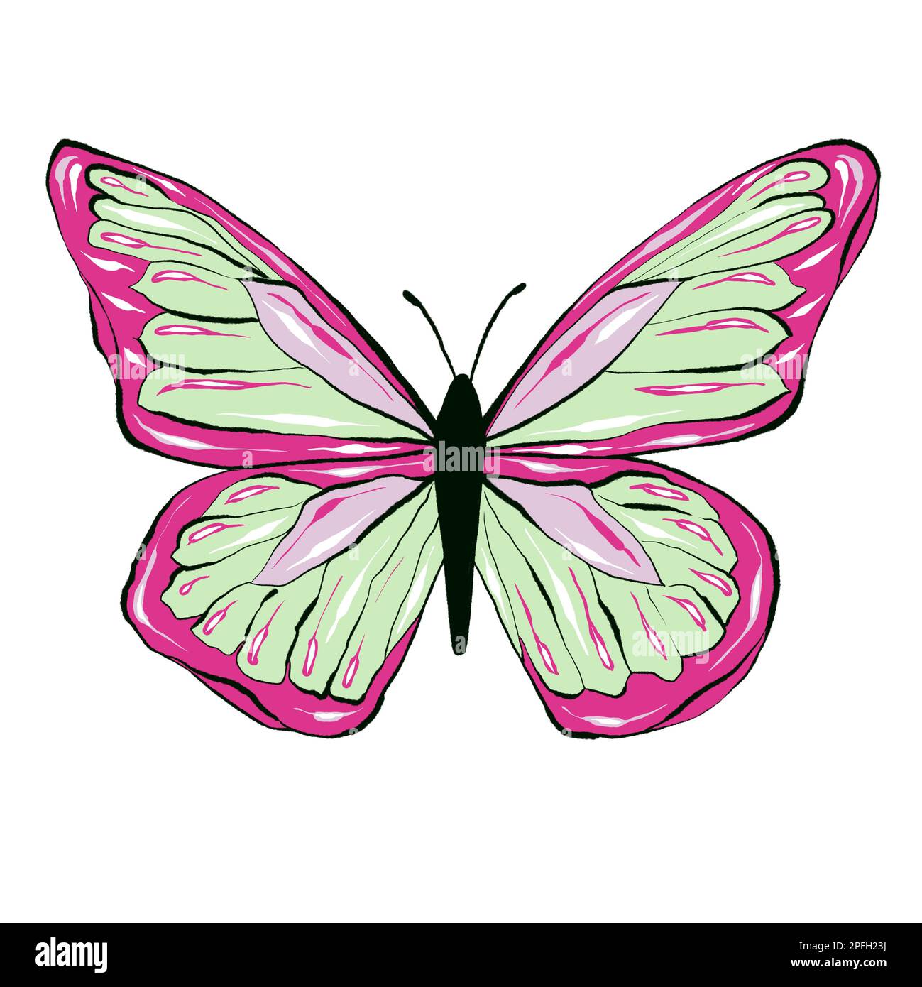 Pink Butterfly Drawing