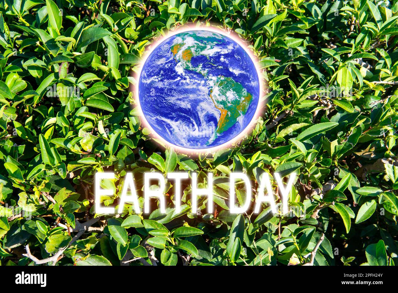 Earth on the background of tea leaves green texture, environment. Earth Day Concept. Elements of this image are furnished by NASA Stock Photo