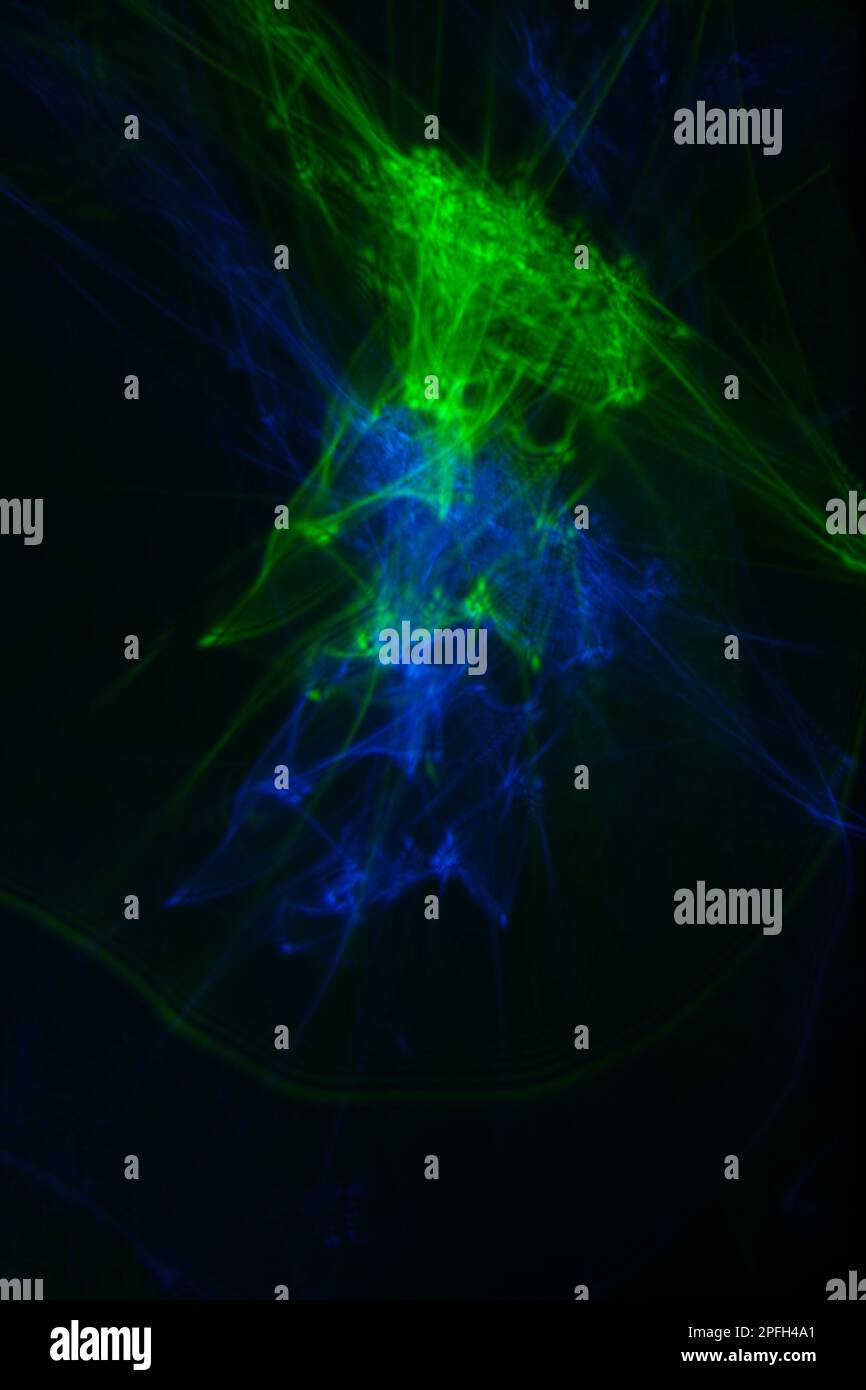 led light effect in bottle, diffused light Stock Photo Alamy