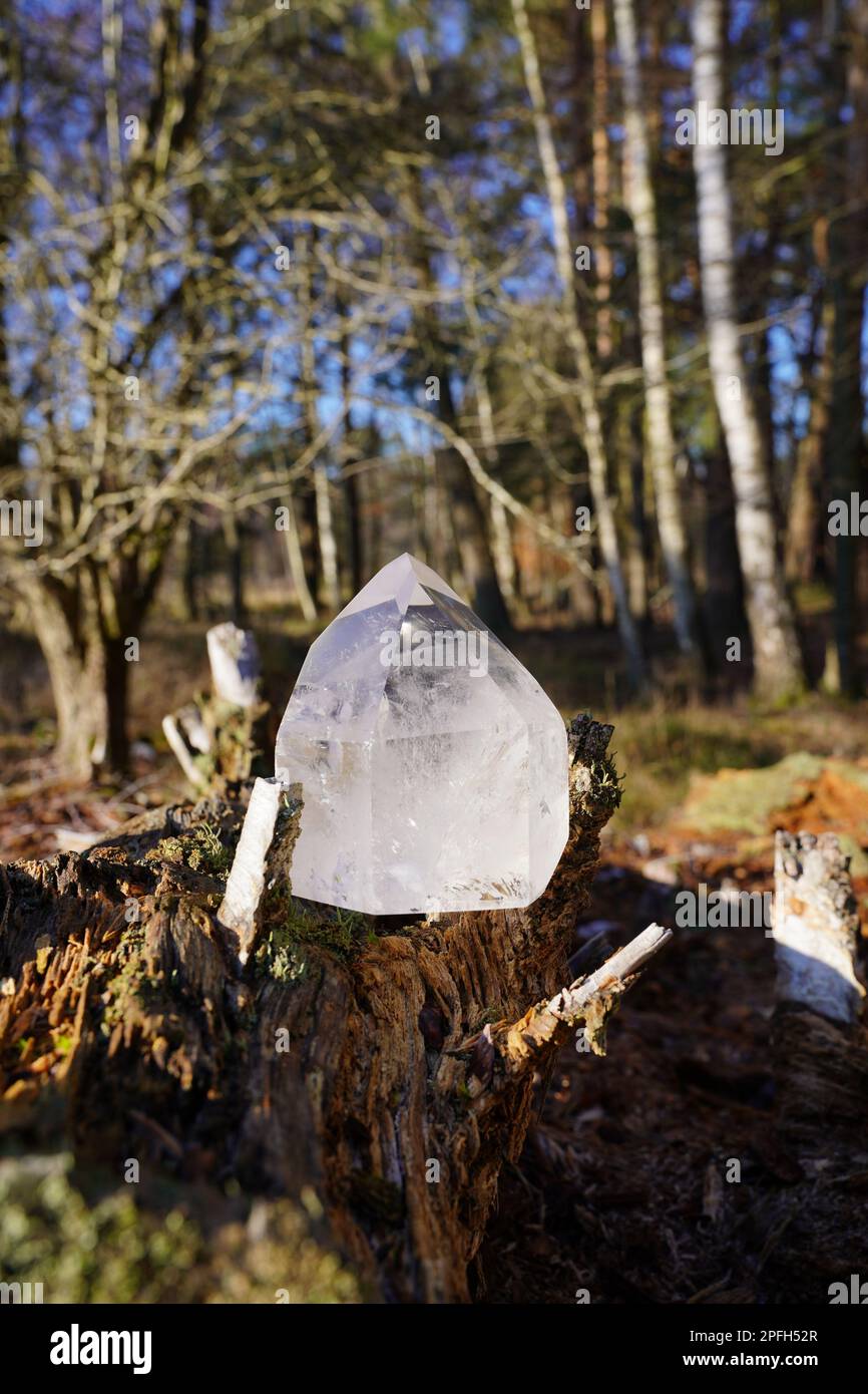 Crystal quartz in the forest. Sun light charging Stock Photo Alamy