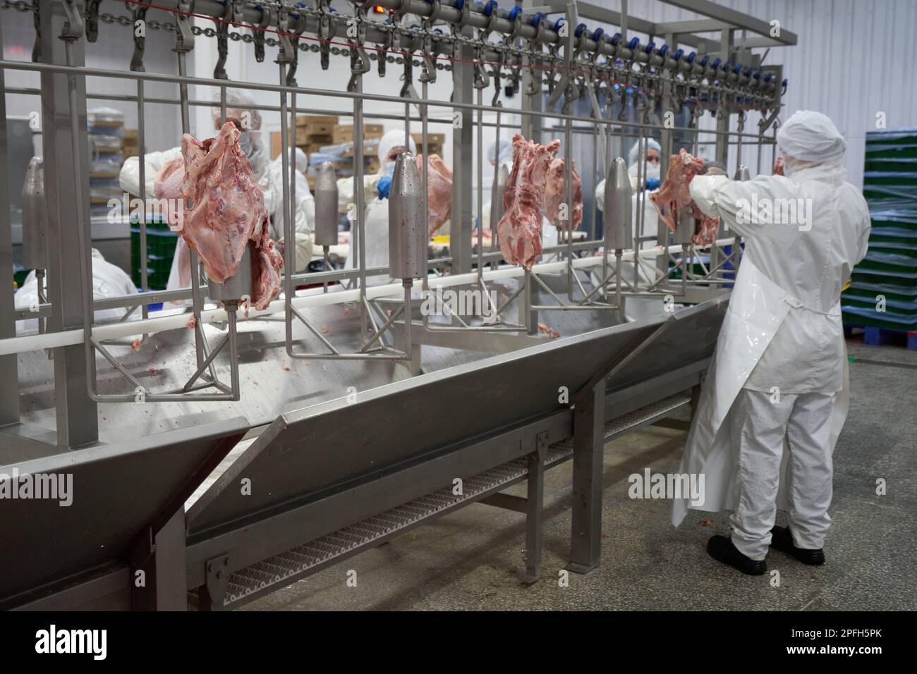 Turkey meat cutting line at a meat processing plant Stock Photo Alamy