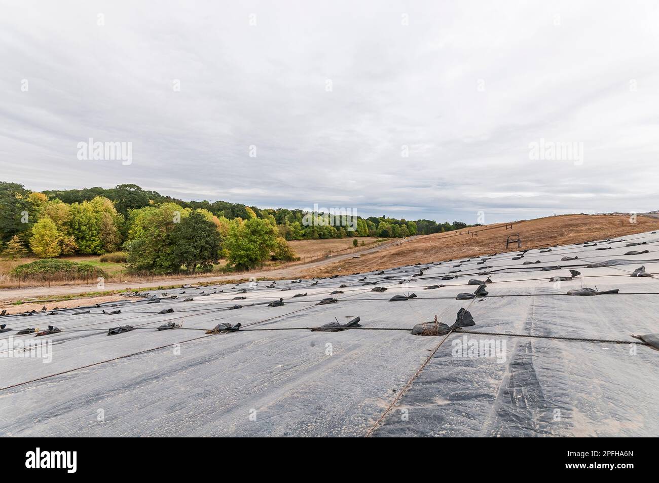 Weighted plastic sheeting covers a hillside in an active landfill.  Probably PVC geomembranes with a tree-line in the distance. Stock Photo