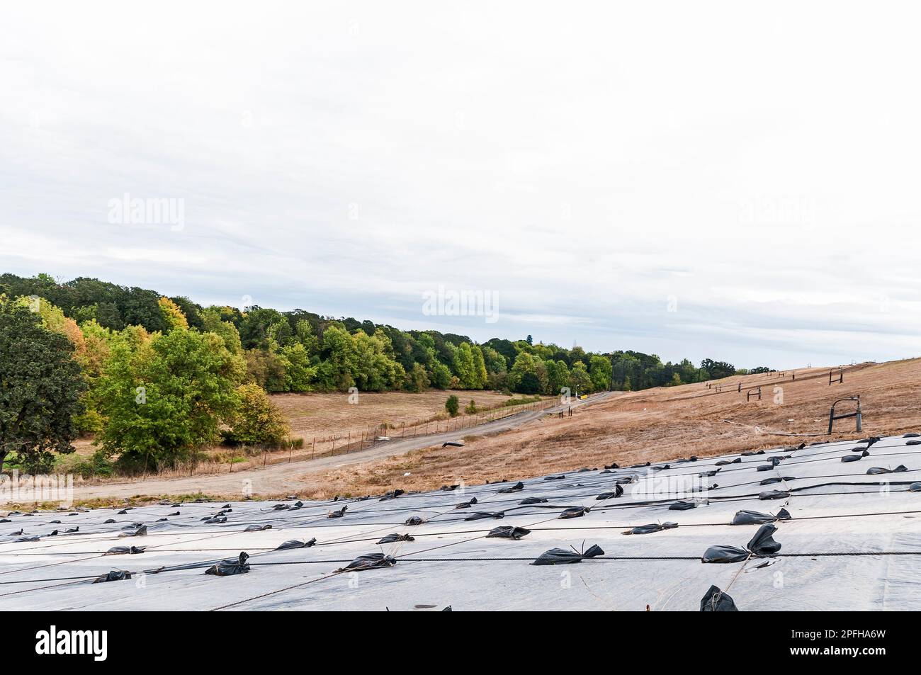 Weighted plastic sheeting covers a hillside in an active landfill.  Probably PVC geomembranes with a tree-line in the distance. Stock Photo